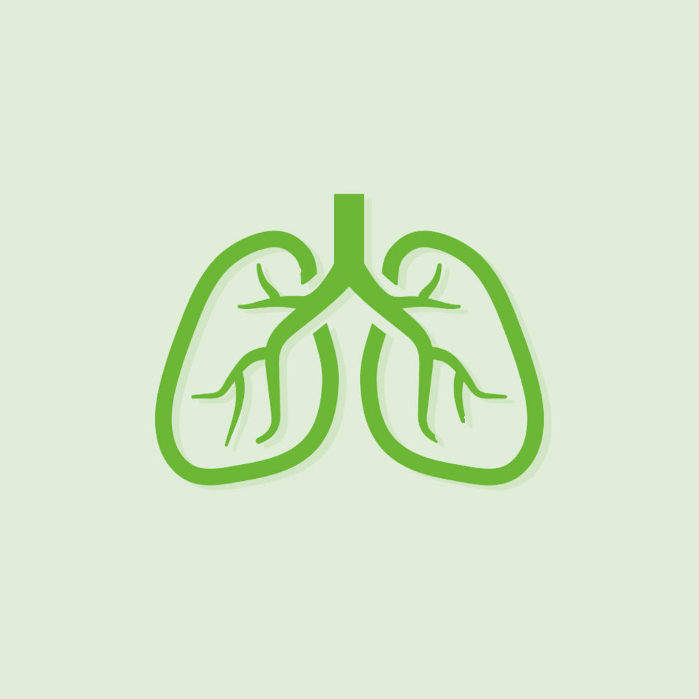 Lung & Respiratory