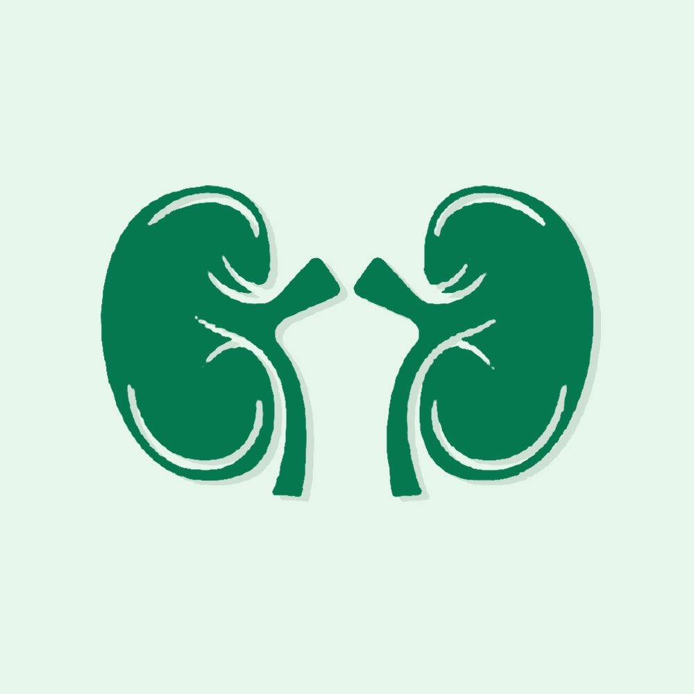 Kidney & Liver